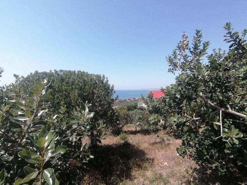 0 Bedroom Property for Sale in Tergniet Western Cape